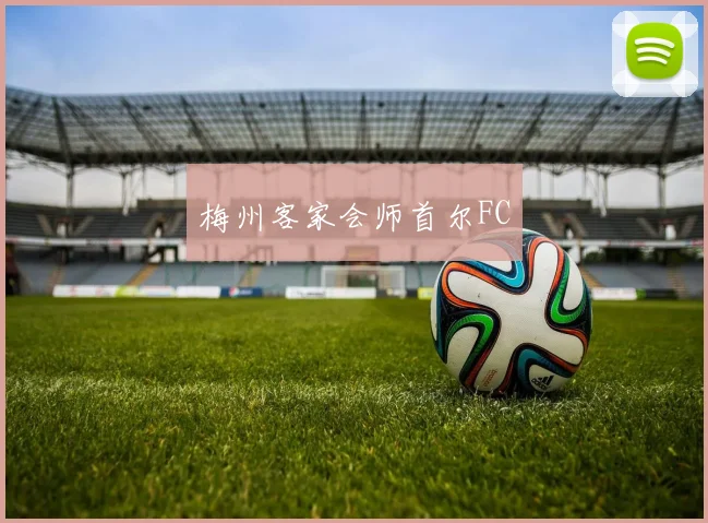 梅州客家会师首尔FC