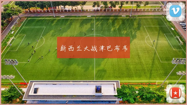 新西兰大战津巴布韦