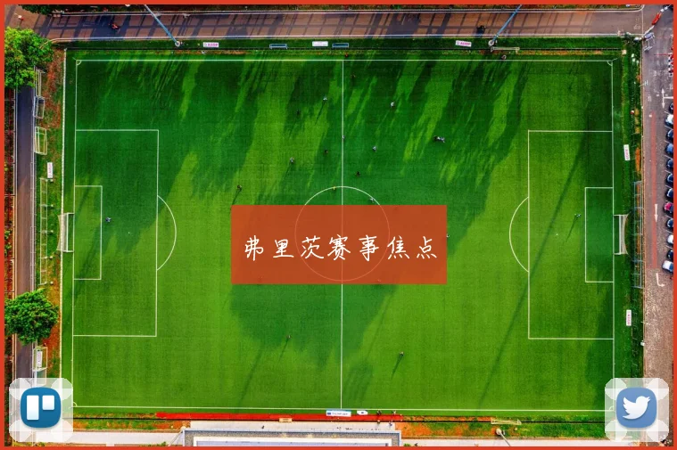 弗里茨赛事焦点