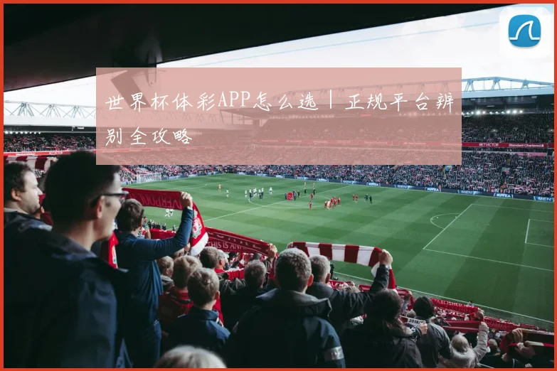 世界杯体彩APP怎么选｜正规平台辨别全攻略