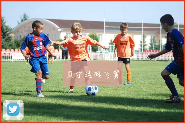 贝宁边路飞翼