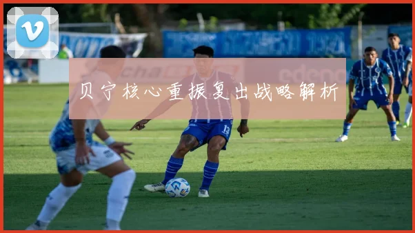 贝宁核心重振复出战略解析