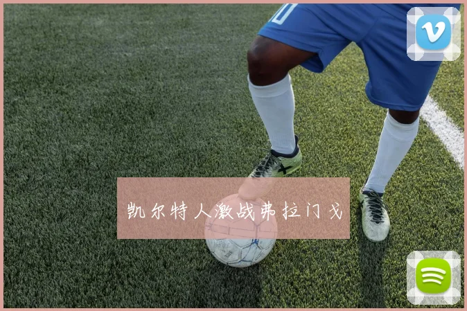 凯尔特人激战弗拉门戈