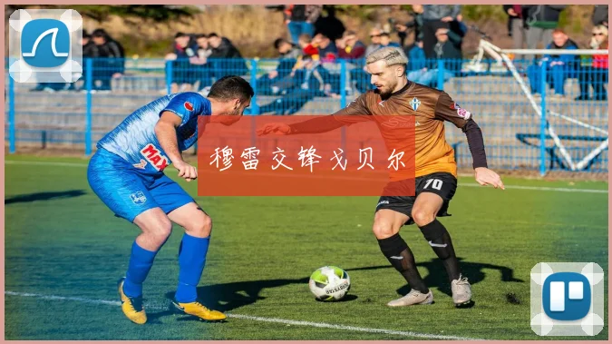 穆雷交锋戈贝尔