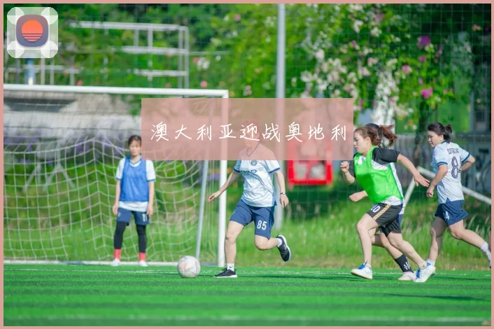 澳大利亚迎战奥地利
