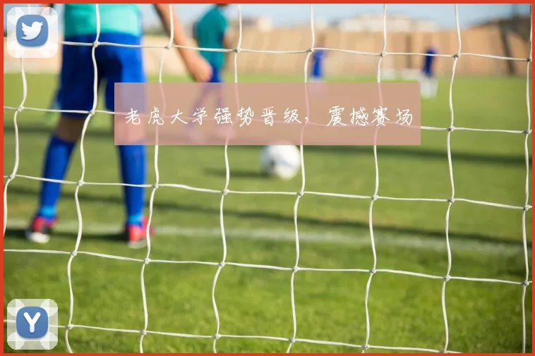 老虎大学强势晋级，震撼赛场