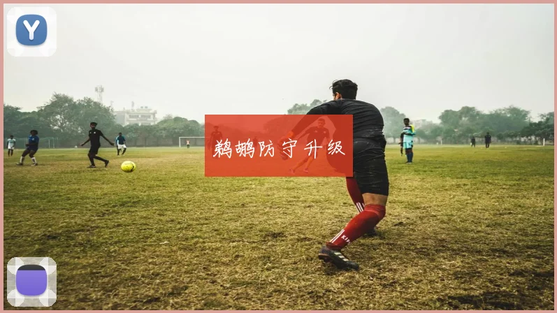 鹈鹕防守升级
