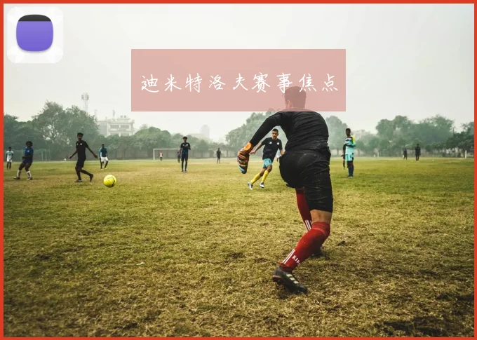迪米特洛夫赛事焦点
