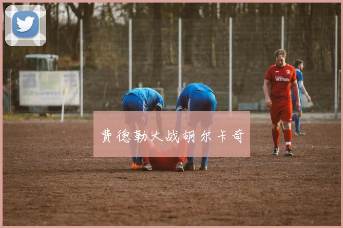 费德勒大战胡尔卡奇