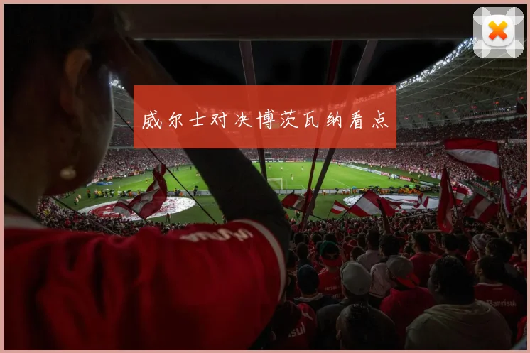 威尔士对决博茨瓦纳看点