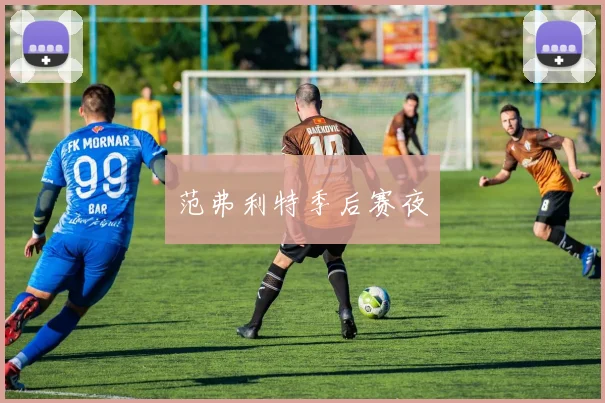 范弗利特季后赛夜