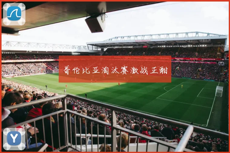 哥伦比亚淘汰赛激战正酣