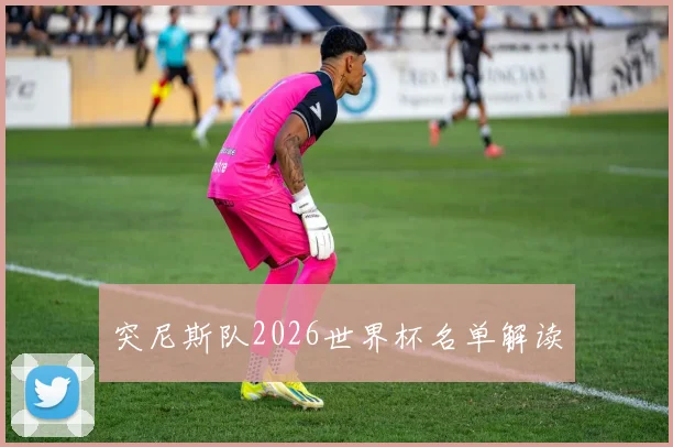 突尼斯队2026世界杯名单解读