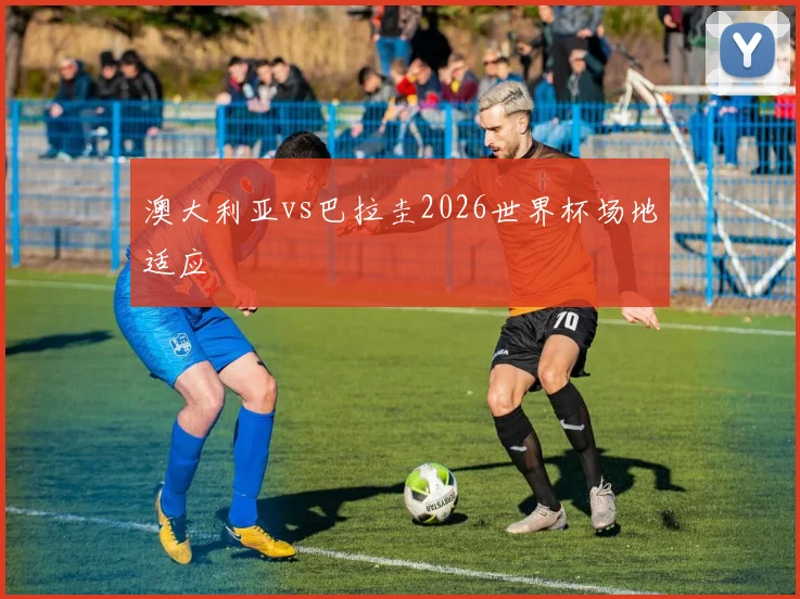 澳大利亚vs巴拉圭2026世界杯场地适应