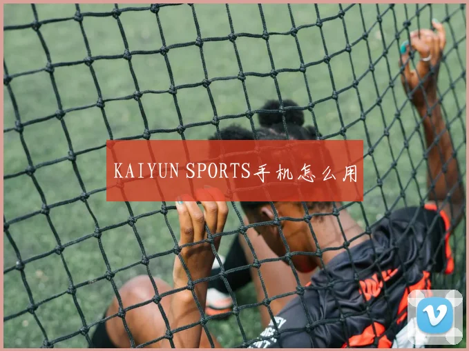 KAIYUN SPORTS手机怎么用