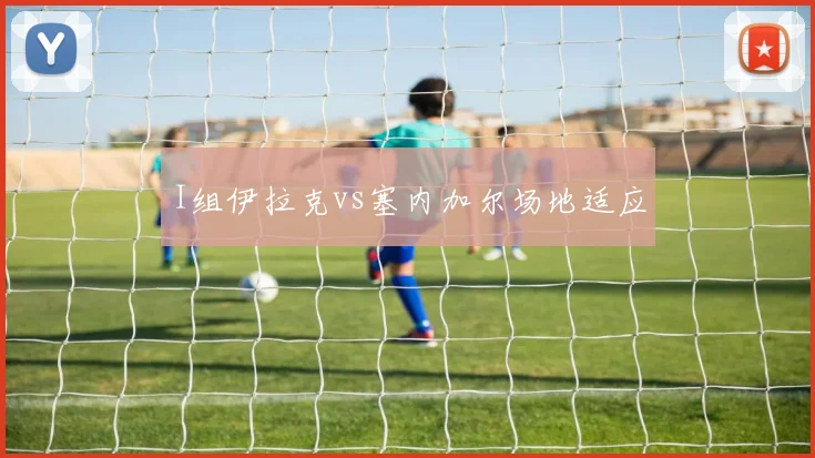 I组伊拉克vs塞内加尔场地适应